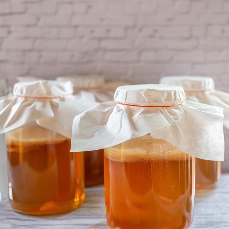 Scoby Kombucha سكوبى كومبوتشا - ثقافة حية للتخمير المنزلي - Image 3
